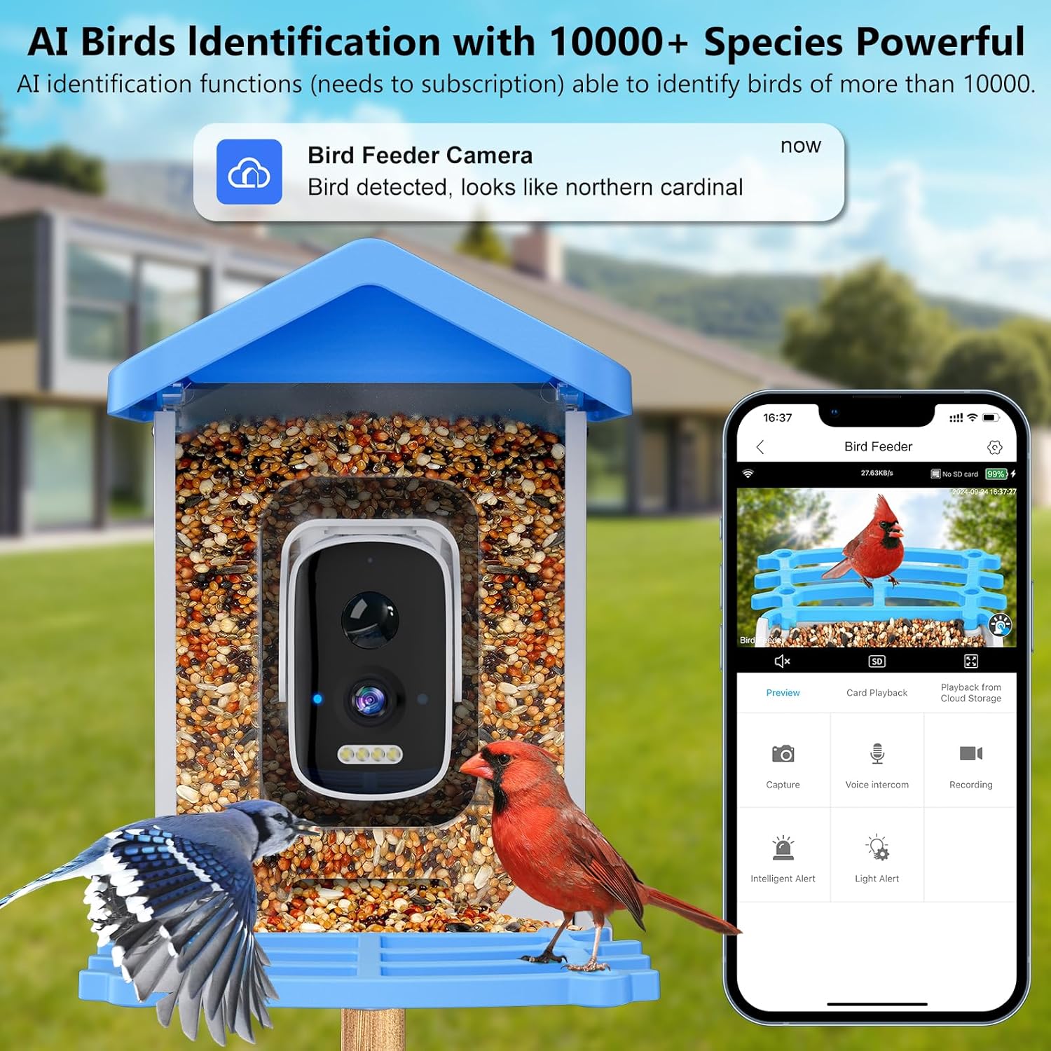 Smart Garden Ai - Intelligenter Vogelfutterspender mit Kamera KI-gestützte Vogelarten-Identifizierung