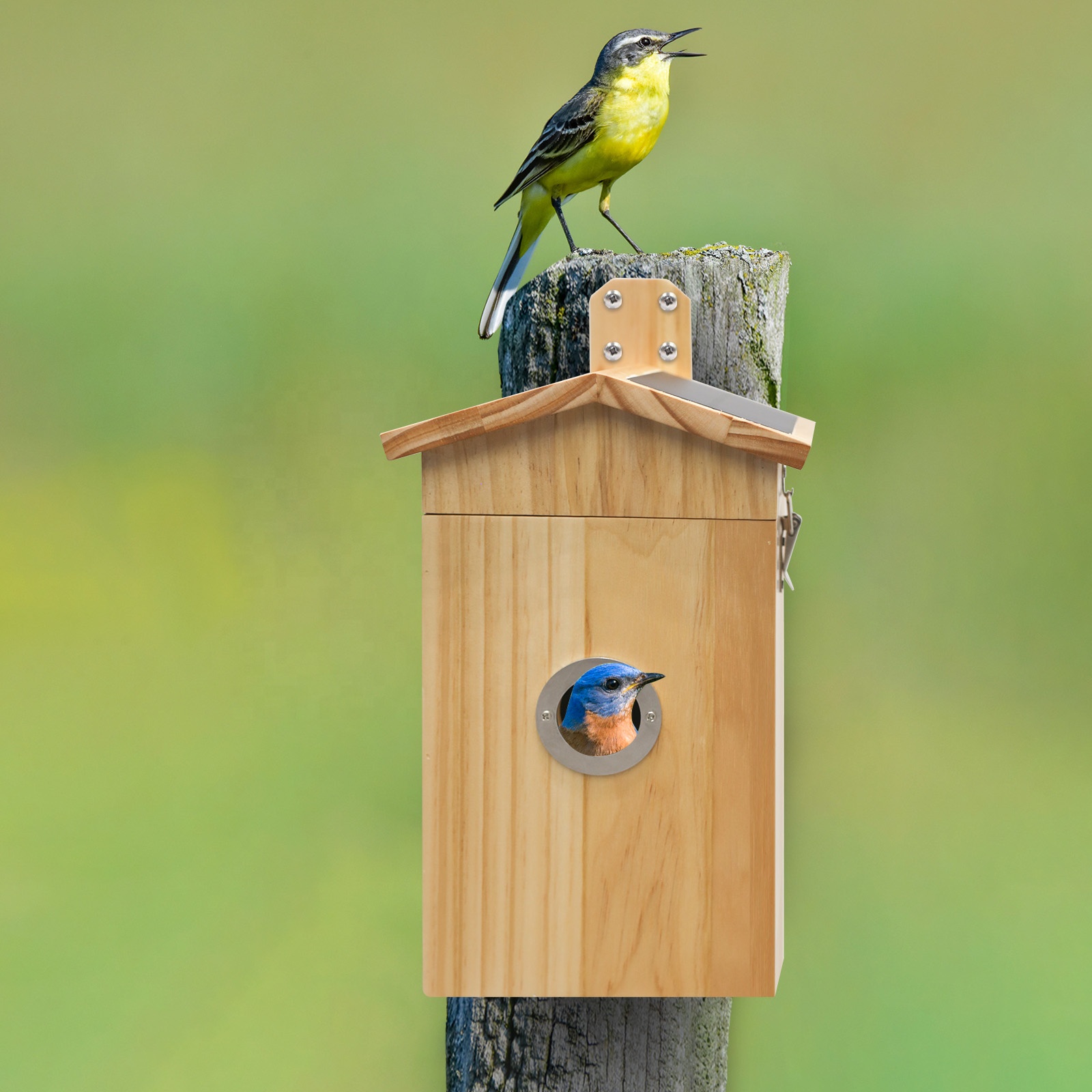Smart Garden Ai - Nanxin Heißer Verkauf Kamera Vögel Haus