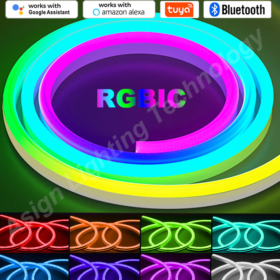 App Smart Garden - RGBIC LED Neon Streifen 12V 96LEDs/M