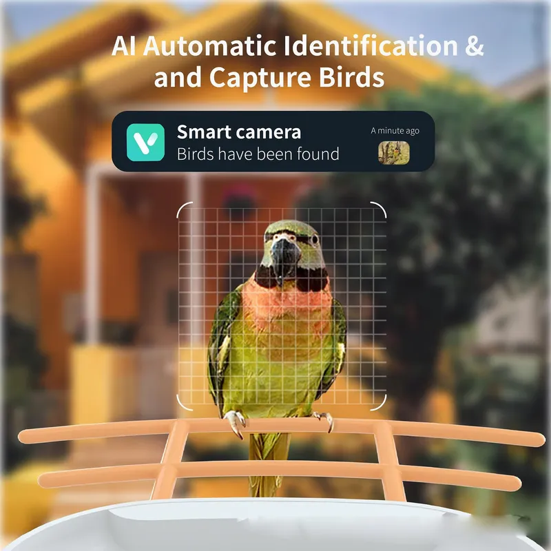 Intelligenter KI-Vogelfuttersp – Smart Garden Ai Bewertung und Preis