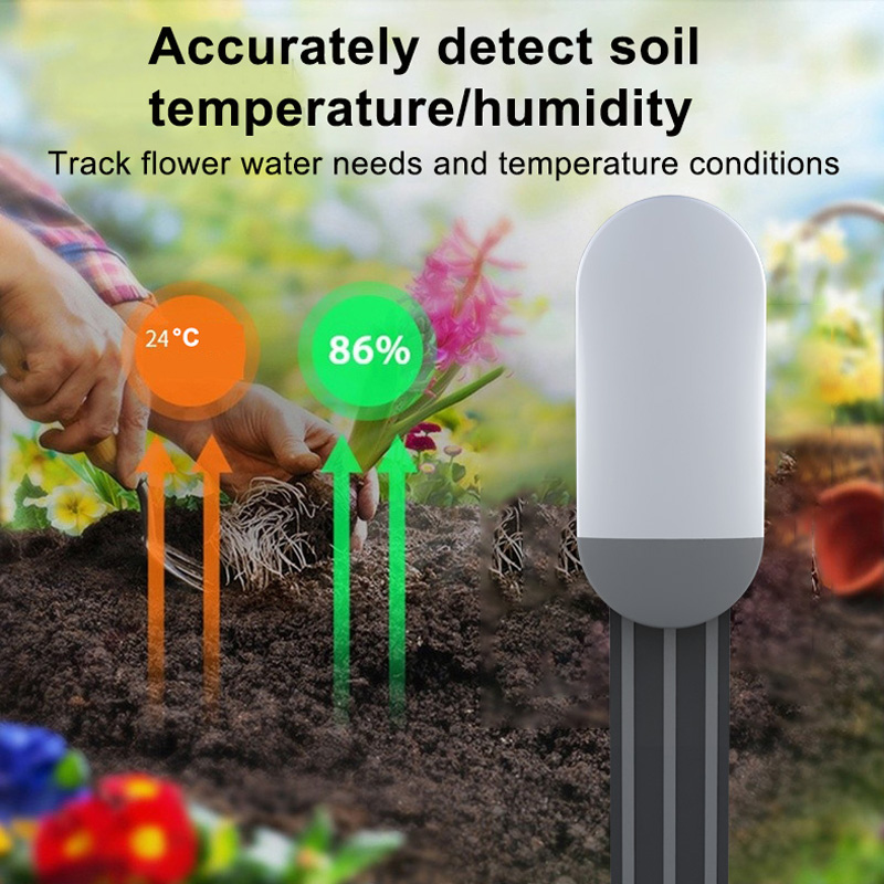ZigBee 3.0 Bodensensor zur Erk – Smart Soil Sensor Bewertung und Preis
