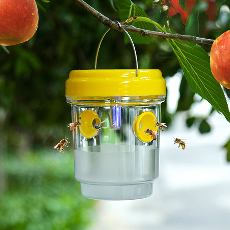 Solarbetriebene Fruchtfliegenf – Smart Garden Light Camera Bewertung und Preis
