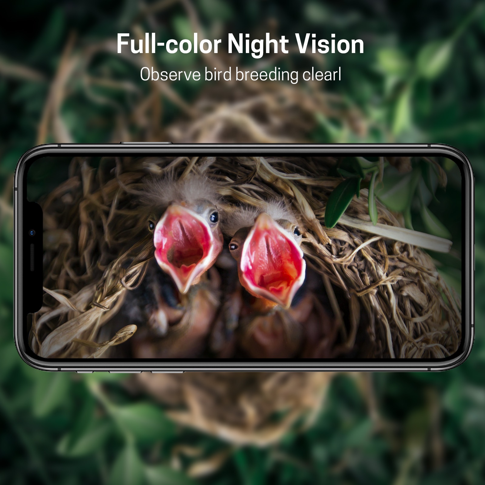 Nanxin Heißer Verkauf Kamera V – Smart Garden Ai Bewertung und Preis