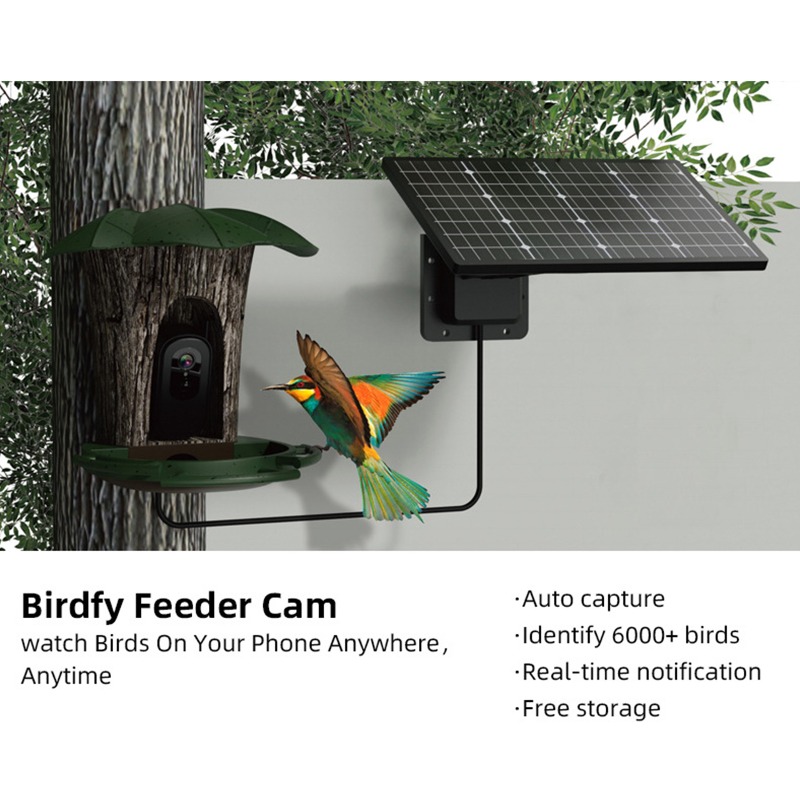 Solar AI Smart Bird Feeder Bir – Smart Garden Ai Bewertung und Preis