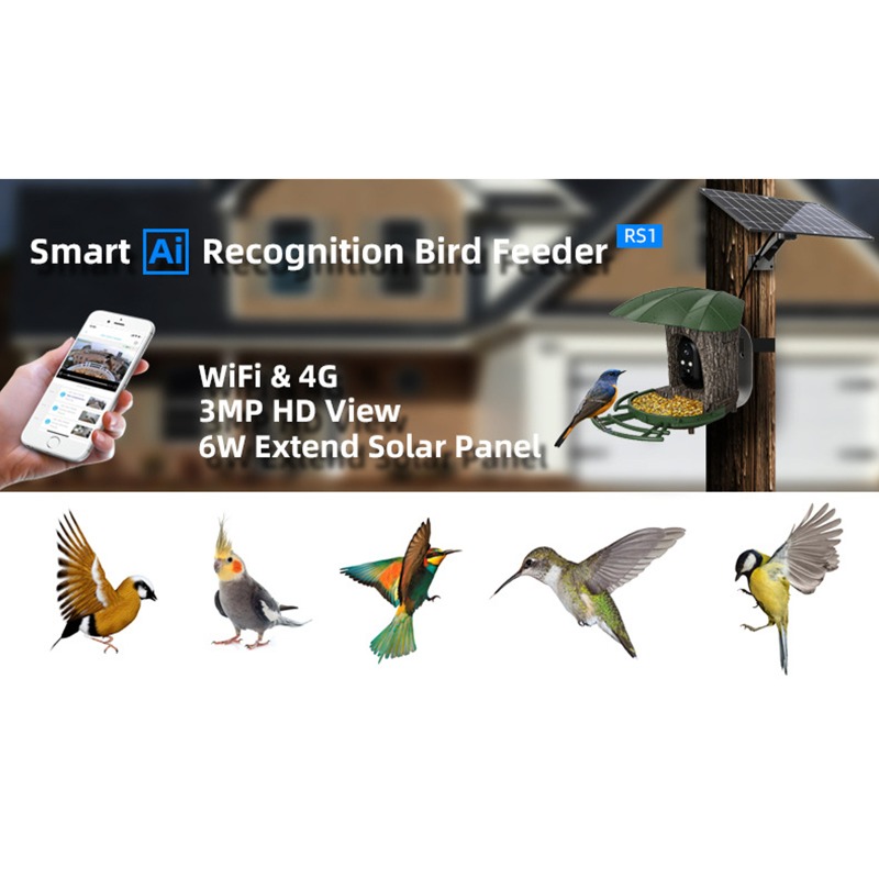 Solar AI Smart Bird Feeder Bir – Smart Garden Ai Bewertung und Preis