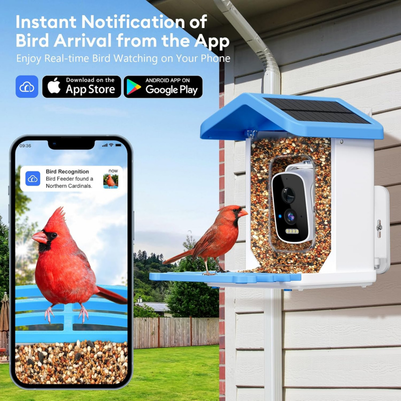 WiFi Smart Bird Feeder mit Kam – Smart Garden Ai Bewertung und Preis