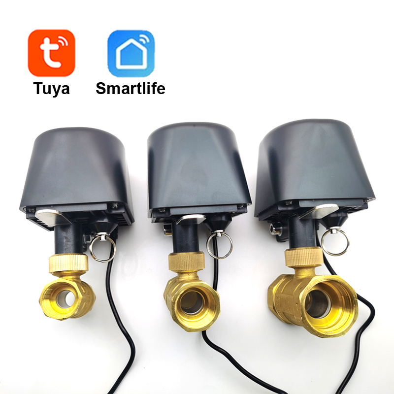 Tuya WiFi oder Zigbee Wasserve – Smart Garden Timer Bewertung und Preis